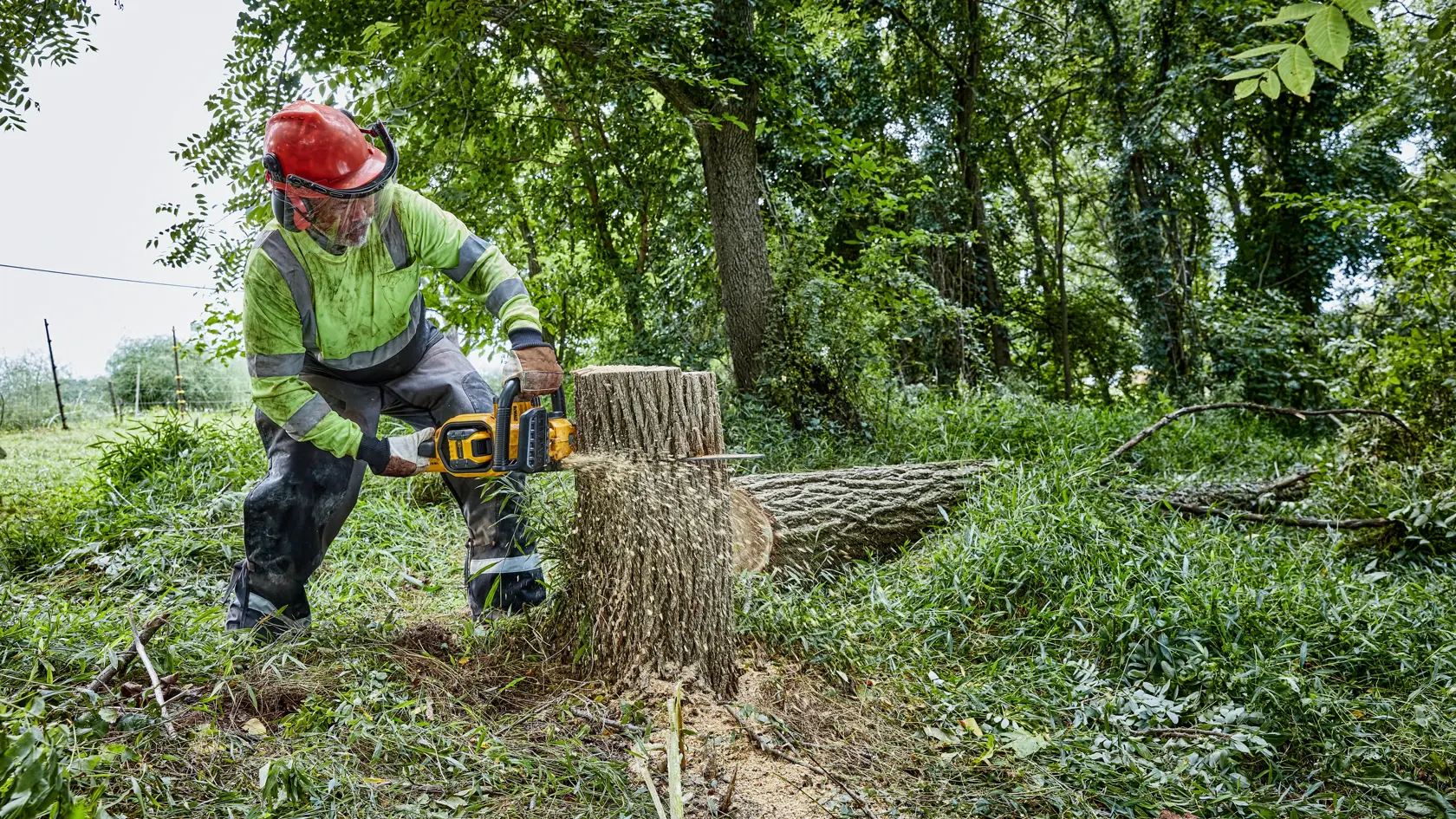 Pilarka łańcuchowa 54V XR Flexvolt 45cm - 1 x 9Ah