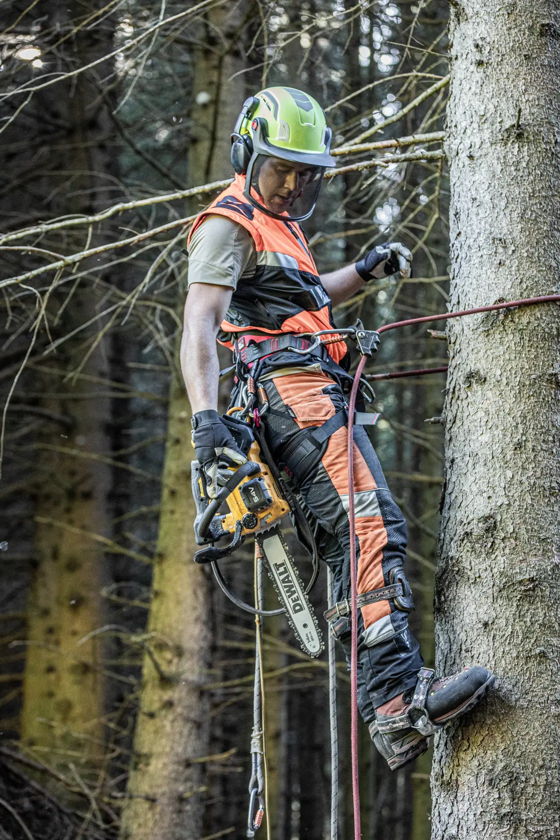 Pilarka łańcuchowa z górnym uchwytem 54V XR Flexvolt - samo urządzenie