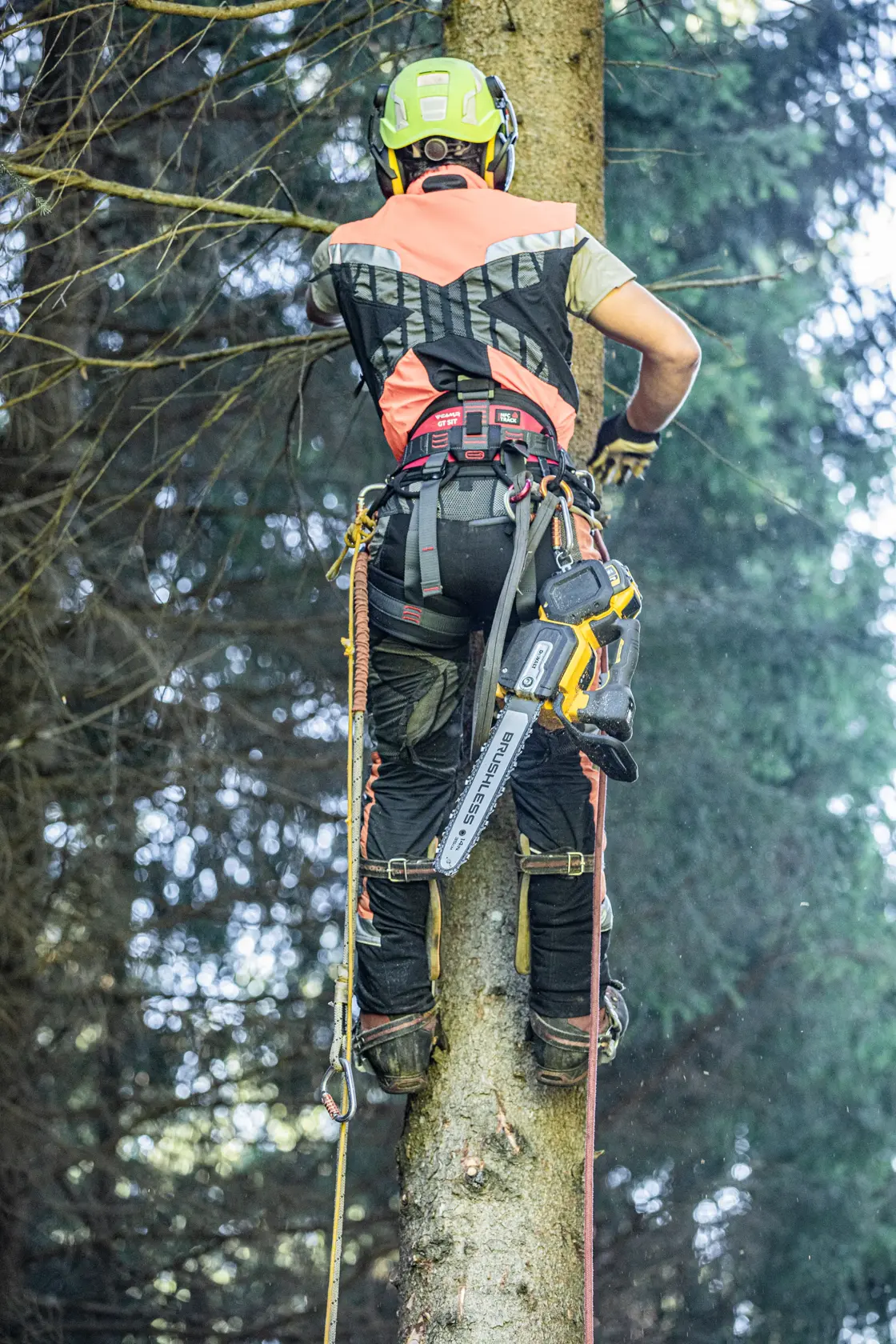 Pilarka łańcuchowa z górnym uchwytem 54V XR Flexvolt - 1 x 9Ah