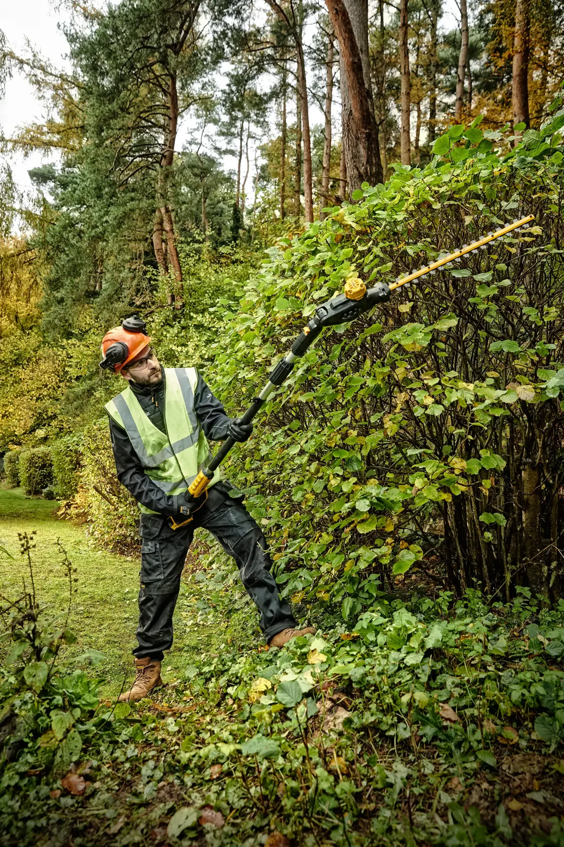 18V XR Nozyce do żywopłotu 55cm na wysięgniku 1 X 5Ah