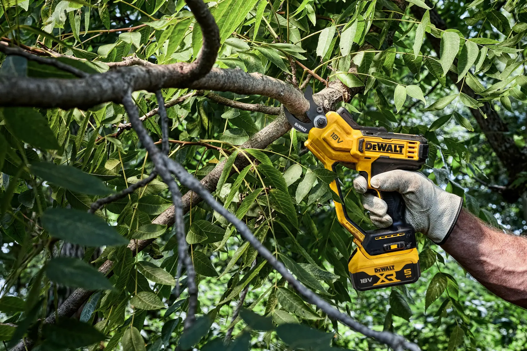 Sekator akumulatorowy 18V XR